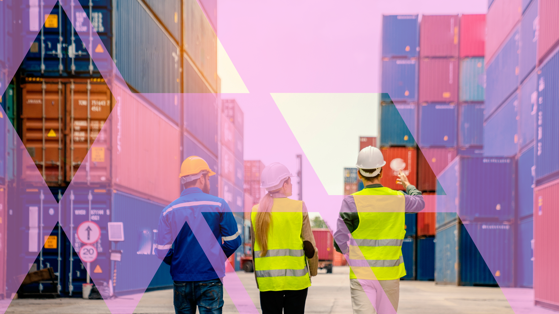 People looking at shipping containers
